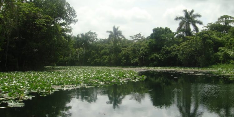 A oxigenar, más allá del río
