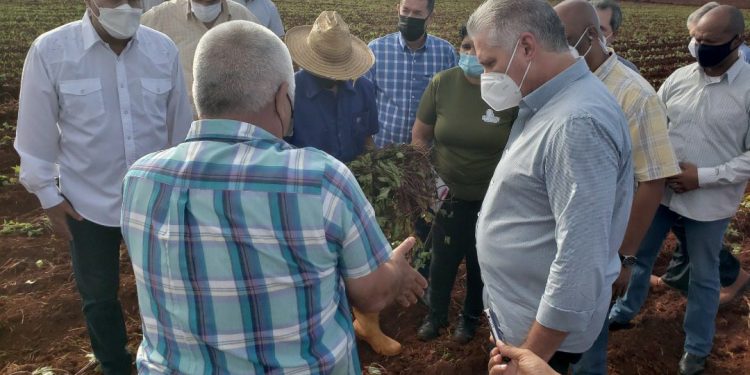 El Presidente Cubano en recorrido por la CPA Cuba - México / Fotos: Presidencia de Cuba