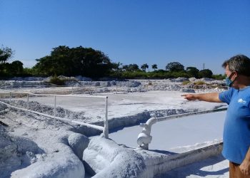 El derrame del cieno por fuera de la piscina donde se deposita constituye un problema medioambiental en la UEB Gases Artemisa