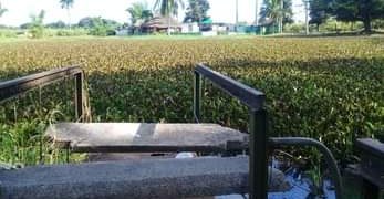 Casi al perder el nombre