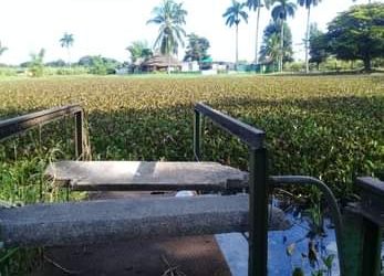 Casi al perder el nombre