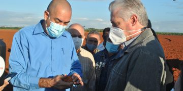 Díaz-Canel en Alquízar: un barrio vulnerable y más producción agrícola