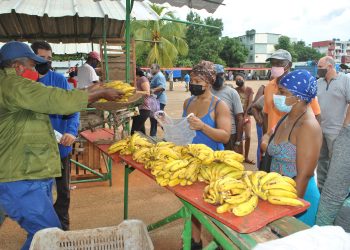 Variadas ofertas en Artemisa de vuelta a la normalidad