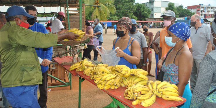 Variadas ofertas en Artemisa de vuelta a la normalidad