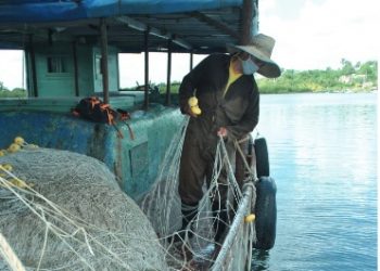 Preparar bien las artes contribuye a resultados satisfactorios en la pesca de plataforma / Fotos: Humberto Lister