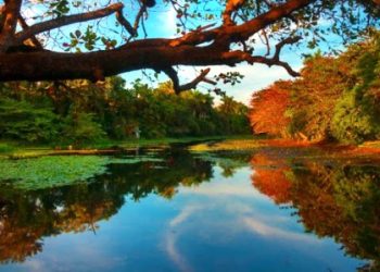 Informe a la Asamblea de Balance del municipio San Antonio