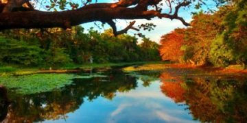 Informe a la Asamblea de Balance del municipio San Antonio