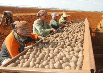 Foto: Otoniel Márquez (Archivo)