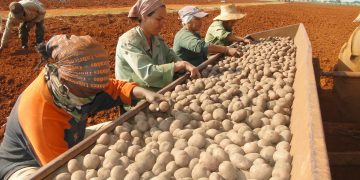 Foto: Otoniel Márquez (Archivo)