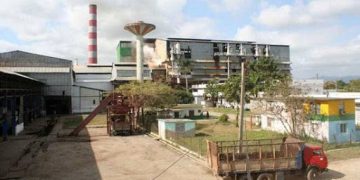 Zafra azucarera: otro año complejo