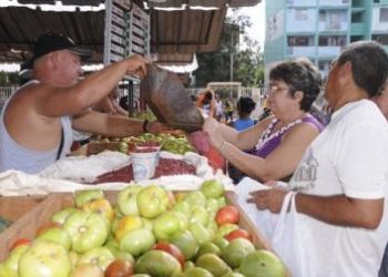 feria-agropecuaria-artemisa