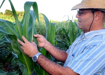 Hombre de tierra y taller