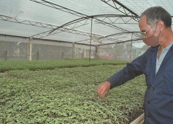 Jorge Luis Acosta le ha dedicado 11 años a su pasión / Fotos: Humberto Lister