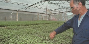 Jorge Luis Acosta le ha dedicado 11 años a su pasión / Fotos: Humberto Lister