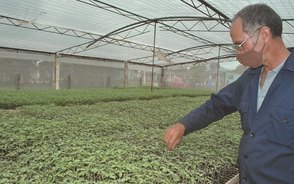 Jorge Luis Acosta le ha dedicado 11 años a su pasión / Fotos: Humberto Lister