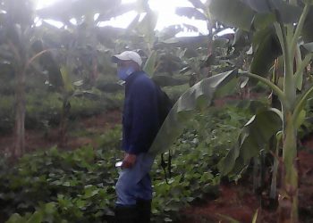 Más cerca de la sostenibilidad