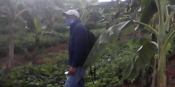 Más cerca de la sostenibilidad