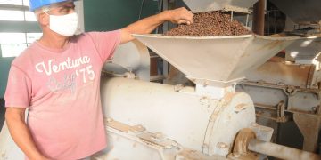 Reducen la humedad, molinan, clasifican y eliminan sus defectos por peso y color / Foto: Otoniel Márquez