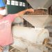 Reducen la humedad, molinan, clasifican y eliminan sus defectos por peso y color / Foto: Otoniel Márquez