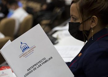 Consulta Popular del Código de las Familias. Foto: Tomada del sitio del Minrex