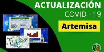 COVID-19: que no falte la sensatez