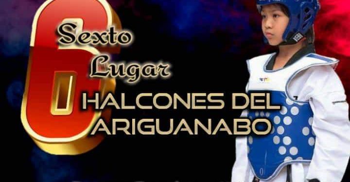 Nuevos Halcones, mismo brillo