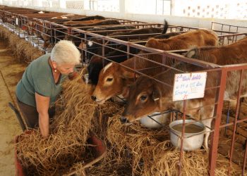 Más dueños de su ganado