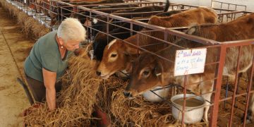 Más dueños de su ganado
