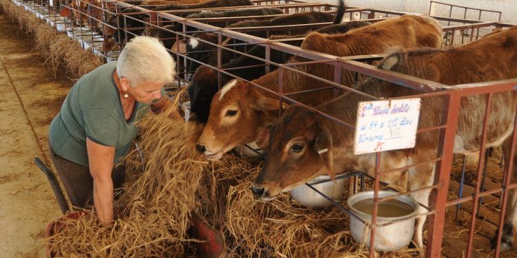 Más dueños de su ganado