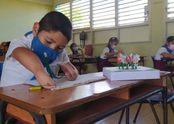 APLICADO y responsable, dos cualidades que definen al pequeño / Foto: Alexander Sosa