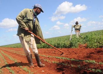 tierras-en-usufructo