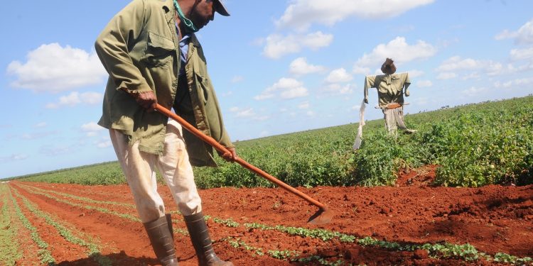 tierras-en-usufructo