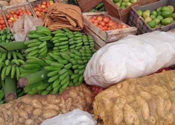 `producción-alimentos