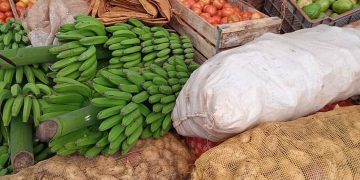 `producción-alimentos