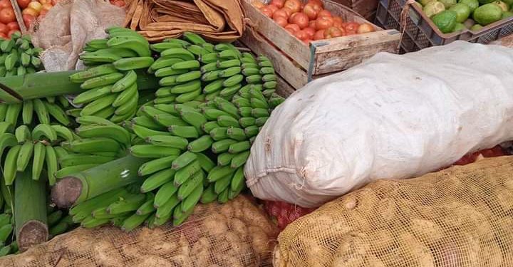 `producción-alimentos