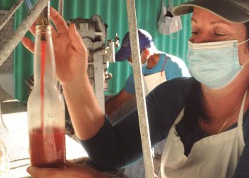 Han adaptado equipos que facilitan la producción / Foto: Otoniel Márquez