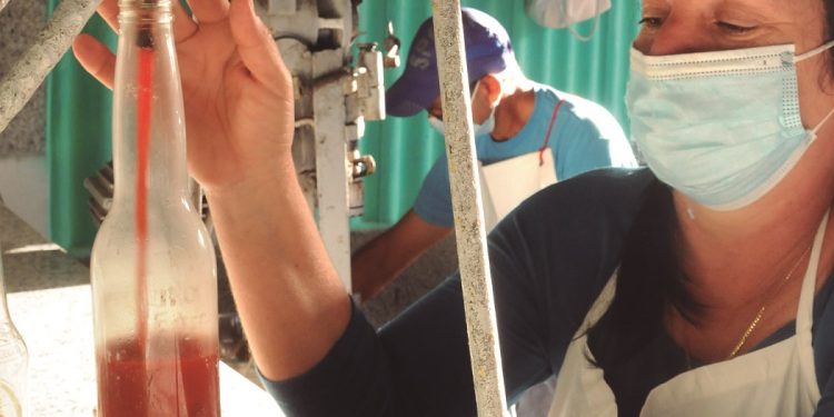 Han adaptado equipos que facilitan la producción / Foto: Otoniel Márquez