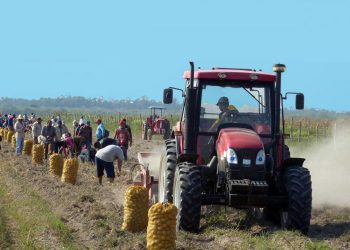 En los análisis se insistió en lo que le corresponde hacer al Partido para lograr que la empresa estatal socialista sea realmente eficiente y mueva la economía del país. Foto: Ronald Suárez