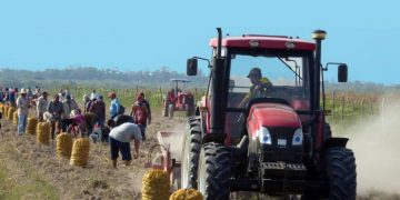 En los análisis se insistió en lo que le corresponde hacer al Partido para lograr que la empresa estatal socialista sea realmente eficiente y mueva la economía del país. Foto: Ronald Suárez