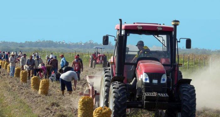 En los análisis se insistió en lo que le corresponde hacer al Partido para lograr que la empresa estatal socialista sea realmente eficiente y mueva la economía del país. Foto: Ronald Suárez