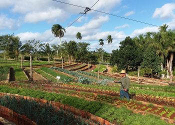 Domingo ecológico en Finca Marta