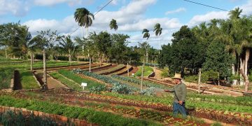 Domingo ecológico en Finca Marta