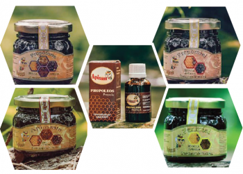 Medicamentos a base de miel a disposición de los artemiseños
