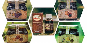 Medicamentos a base de miel a disposición de los artemiseños