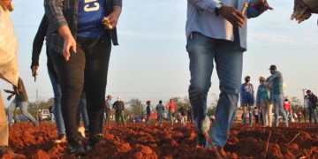 Jóvenes artemiseños celebran aniversario de la UJC desde el surco