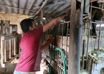 Foto: María Fernanda Terry