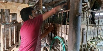 Foto: María Fernanda Terry