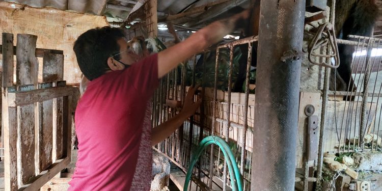 Foto: María Fernanda Terry