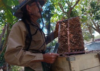 Julián conoce a las abejas, porque ha estado entre ellas desde niño