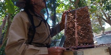 Julián conoce a las abejas, porque ha estado entre ellas desde niño